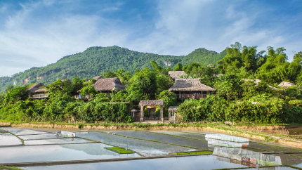 Quang cảnh Mai Châu Ecolodge