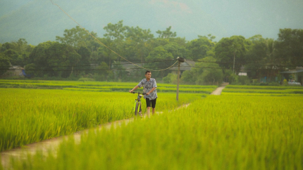 Hoạt động đạp xe