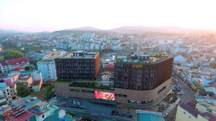 Overview