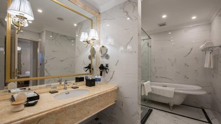 Phòng có vòi sen và bồn nắm tắm hiện đại