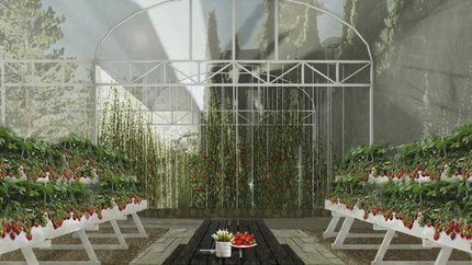 Khu Vườn của Mercure Đà Lạt.