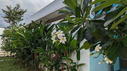 Khách sạn được bao phủ bởi cây và hoa