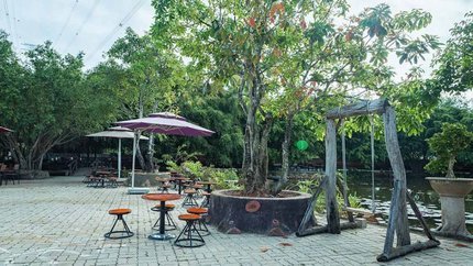 Quán cafe với view hồ cá