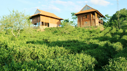 Mộc Châu Arena Village