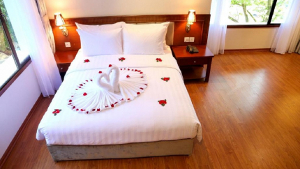 Phòng Junior Suite Park View