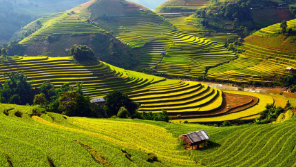 View từ Mù Cang Chải Ecolodge