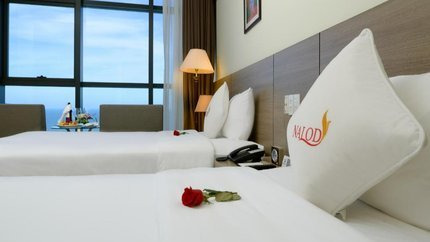 Phòng Superior Ocean View Double/Twin