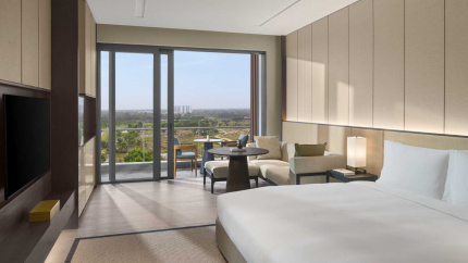 Deluxe Oceanview Room