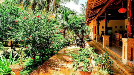 Cảnh quan Non Nước Resort Phan Thiết