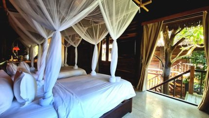 Premium Jungle Bungalow