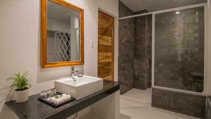 Phòng tắm trang trí gạch đen nổi bật