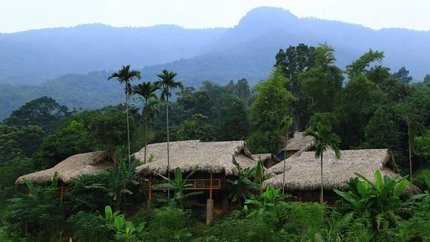 Overview của khách sạn