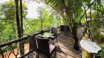 Quán cafe với không gian xanh mát