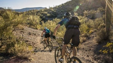 Một số hoạt động khác