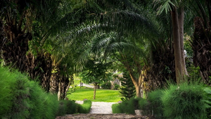 Cảnh quan Romana Resort & Spa Phan Thiết