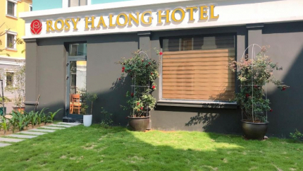 Khung cảnh tại Rosy Hotel 3*