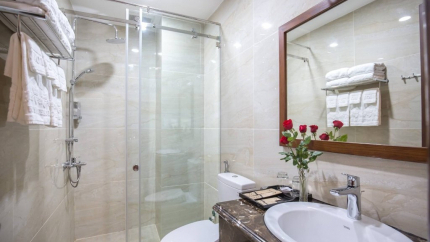 Phòng tắm vách kính Roy Dala