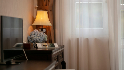 Standard Mountain View