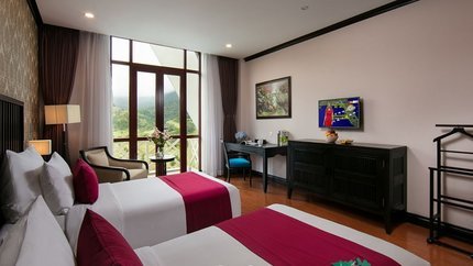 Standard Mountain View