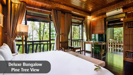 Deluxe Bungalow Pine Tree View