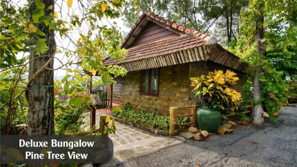 Deluxe Bungalow Pine Tree View