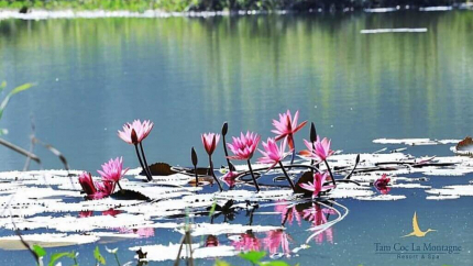 Hồ Tam Coc La Montagne Resort  Spa