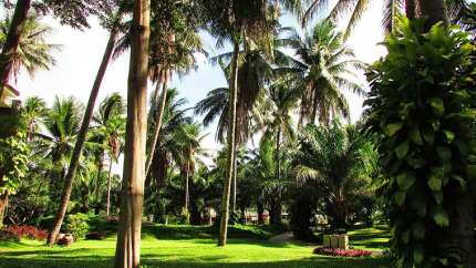 Garden The Beach Resort Phan Thiết