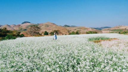 Chụp Ảnh Tại The November Mộc Châu