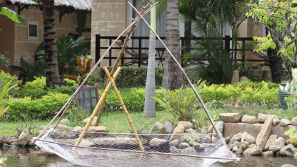 Deluxe Bungalow TTC Resort Premium - Kê Gà