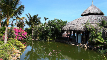 Cảnh Quan TTC Resort Premium - Kê Gà