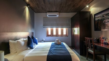 Tông màu trầm lịch sự