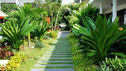 Khuôn viên vườn khách sạn