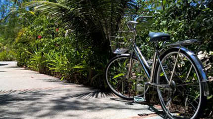 Xe đạp trong khuôn viên