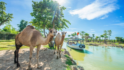 Vinwonders & Safari Nam Hội An