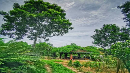 Đường bên ngoài