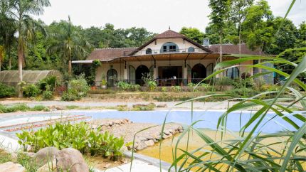 Vườn Cỏ Thơm Villa