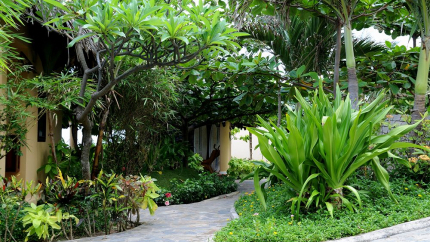 Vườn White Sand Resort Phan Thiết