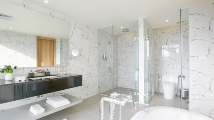 Bathroom View
