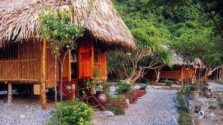 Phòng Bungalow Tiêu Chuẩn