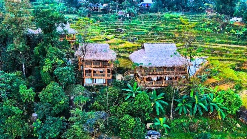Jungle Lodge Puluong