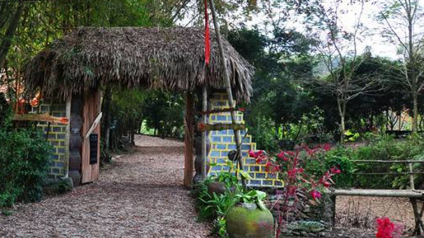 vit-co-xanh-resort-53fd475f8e17e.png