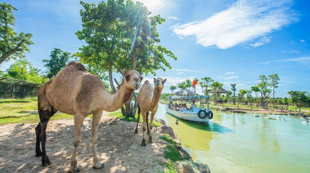 Khách cao từ 140 cm