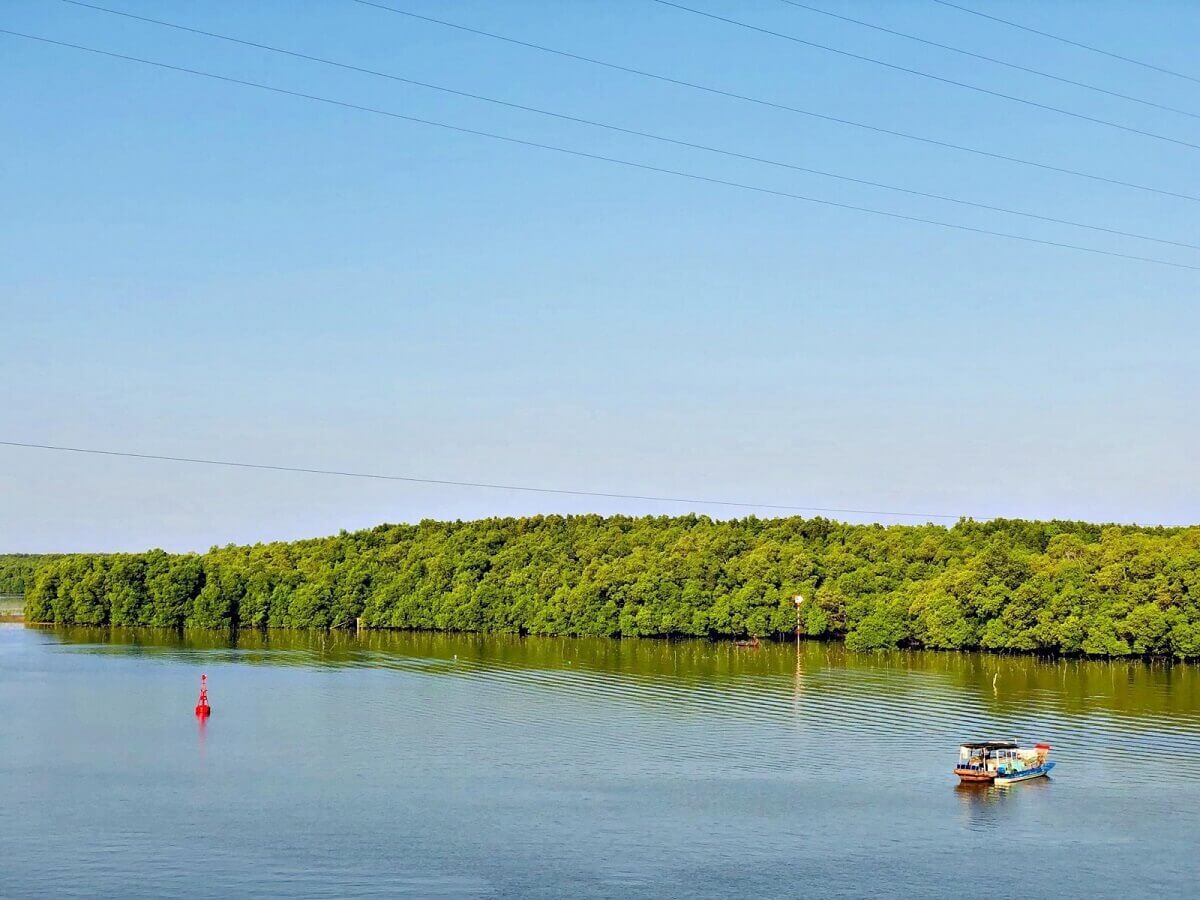 Rừng Ngập Mặn Cần Giờ