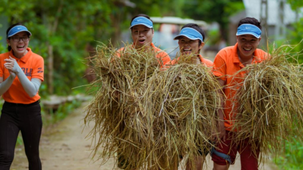 Khách sạn hỗ trợ tổ chức team building