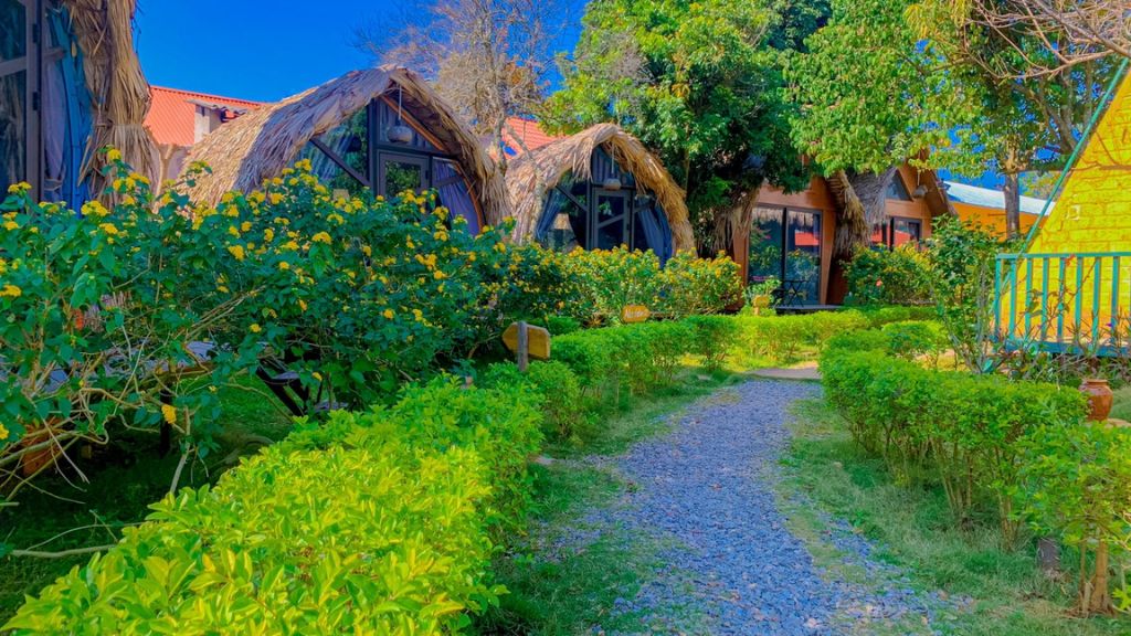 Khuôn viên sân vườn