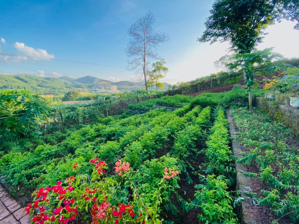 Check in nông trại rau tại Onsen Hòa Bình