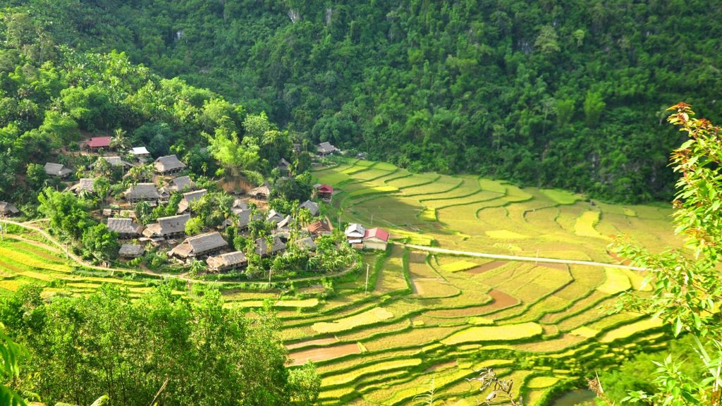 Overview của khách sạn