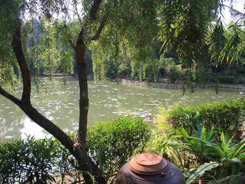 Cảnh Quan