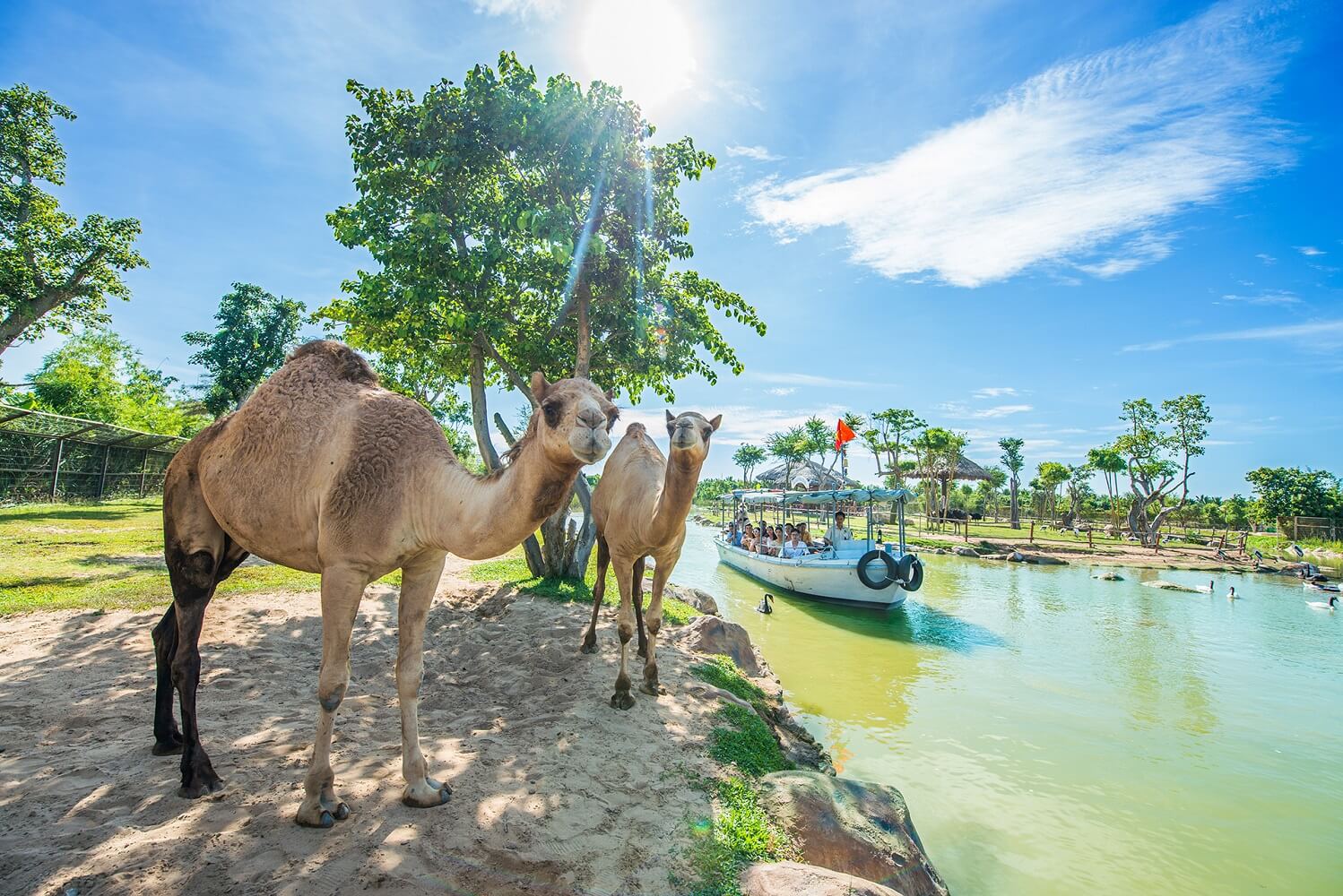 Vinwonders & Safari Nam Hội An