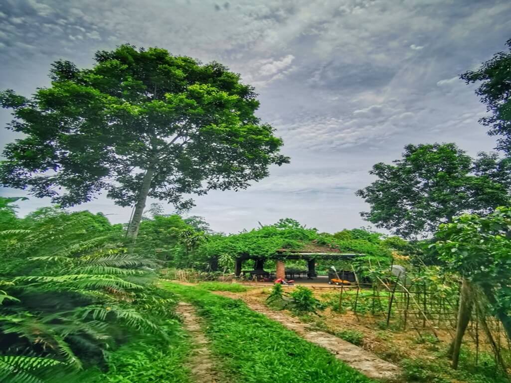 Đường bên ngoài